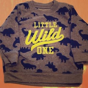 Little Wild One Sweater